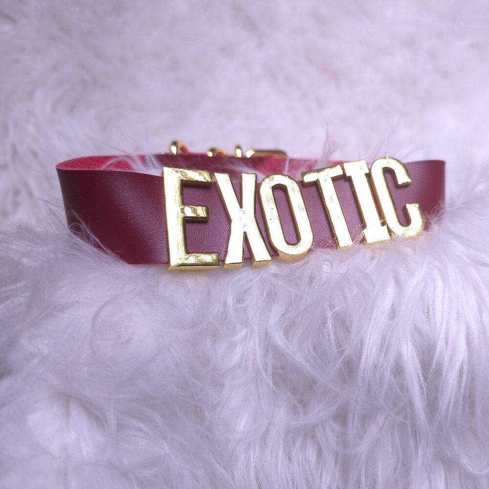 Custom Bold Gold “EXOTIC” Statement Collar Choker